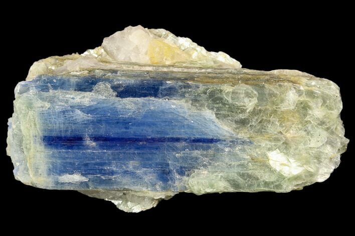 Vibrant Blue Kyanite Crystal In Quartz - Brazil #118865